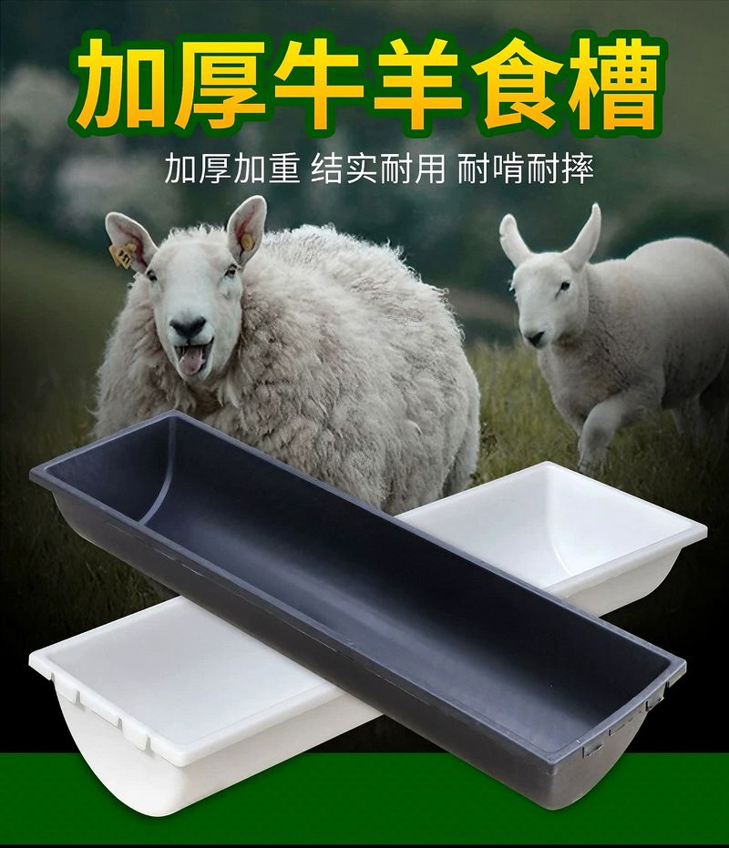 微信图片_20250317142813