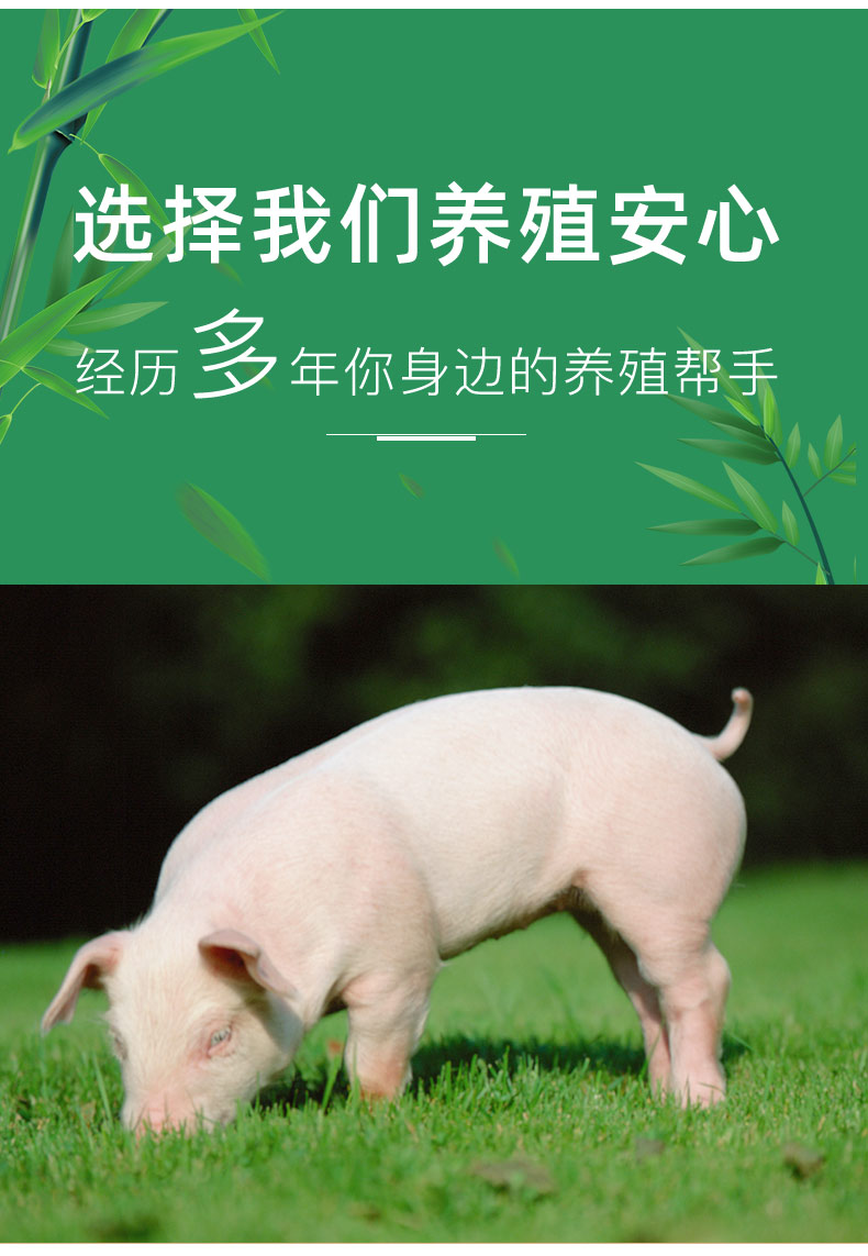 详情页4_05